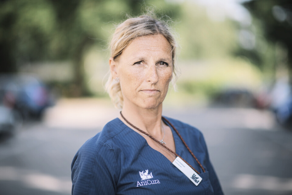 Ewa Wallman, djursjukhuschef på Djursjukhuset Bagarmossen.
