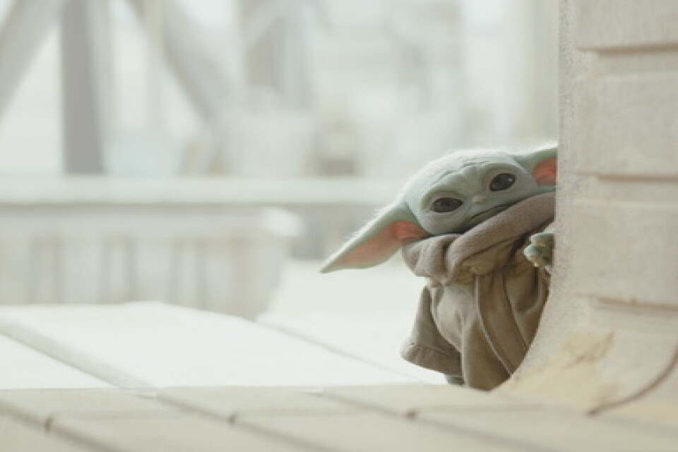Baby Yoda är en av figurerna i Disneys serie "The mandalorian", serien som nu kritiseras av "Star wars"-fans. Pressbild.