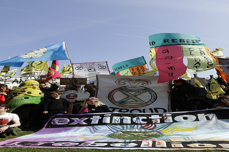 Klimatdemonstranter har samlats på Parliament Square i London.