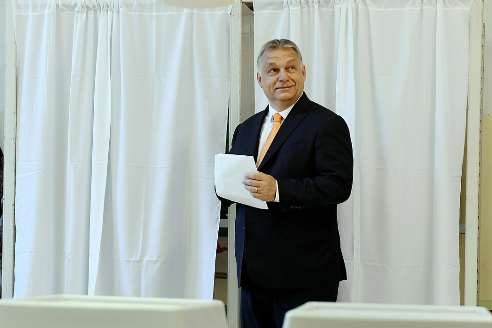 Ungerns premiärminister Viktor Orbán i en vallokal i Budapest.