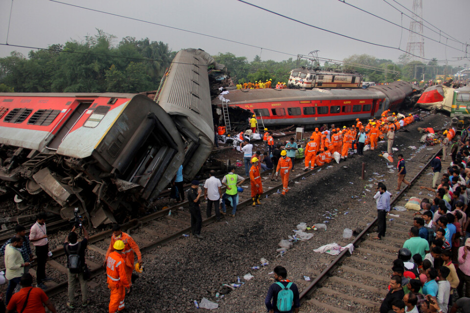 Dödstalet stiger efter att flera tåg kolliderade i delstaten Odisha i östra Indien.