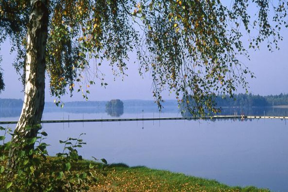 Den som vill hålla sig frisk gör klokt i att inte bada i Tydingesjön just nu. Det gäller  även badplatserna i Breanäs och vid Gummarpsbadet.