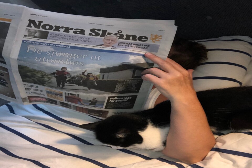 Katten Majsan läser Norra Skåne.