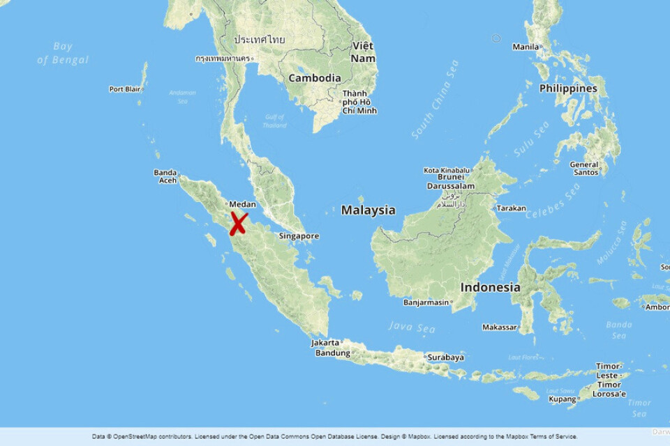 Två aktivister som medlade i en marktvist mellan ett palmoljeföretag och lokalbefolkningen har mördats på Sumatra i Indonesien.
