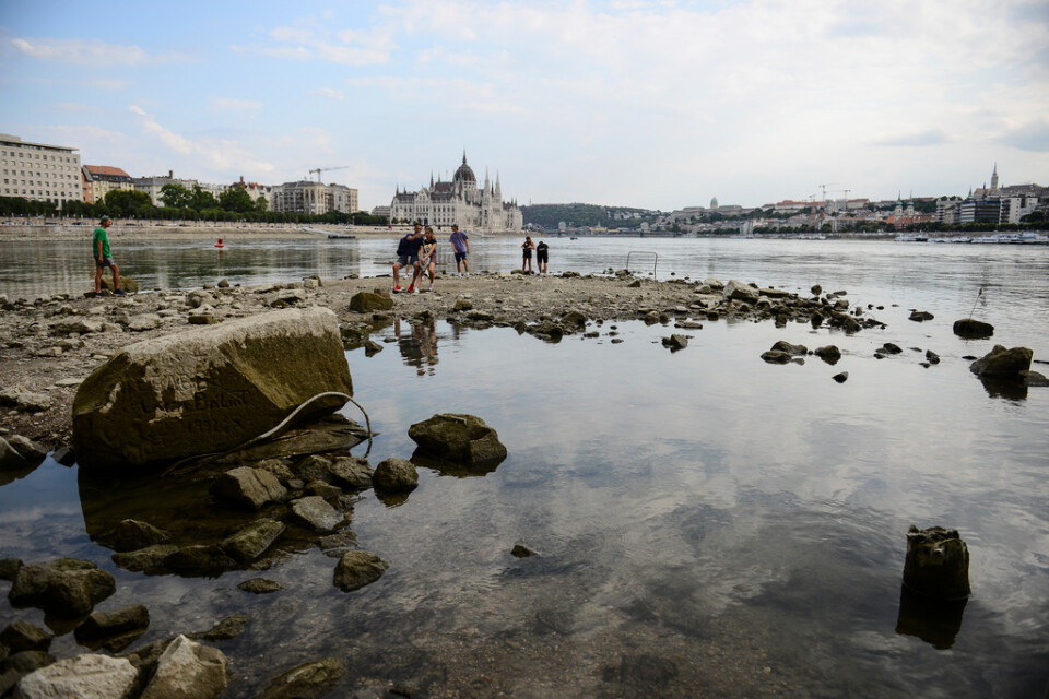 Uttorkade flodbanker utefter Donau i Budapest, Ungern.