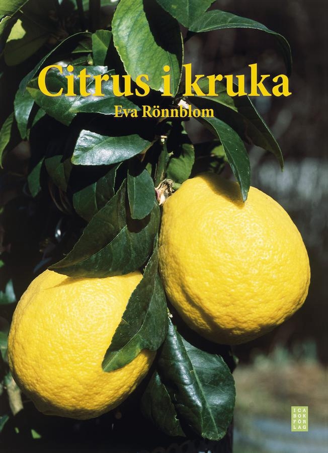 Citrus i kruka av Eva Rönnblom (Ica bokförlag).