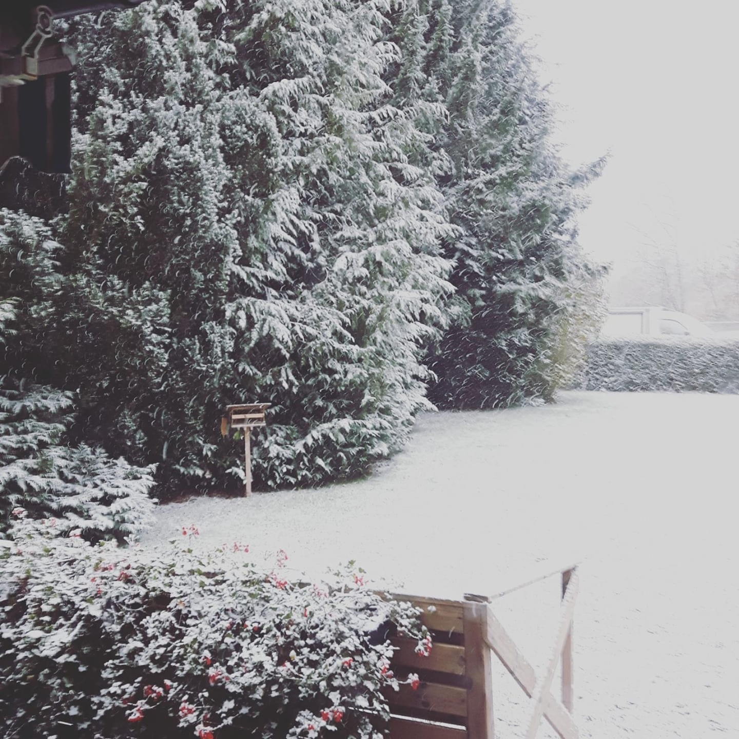 Rikligt med snö kom det i Skåne-Tranås.