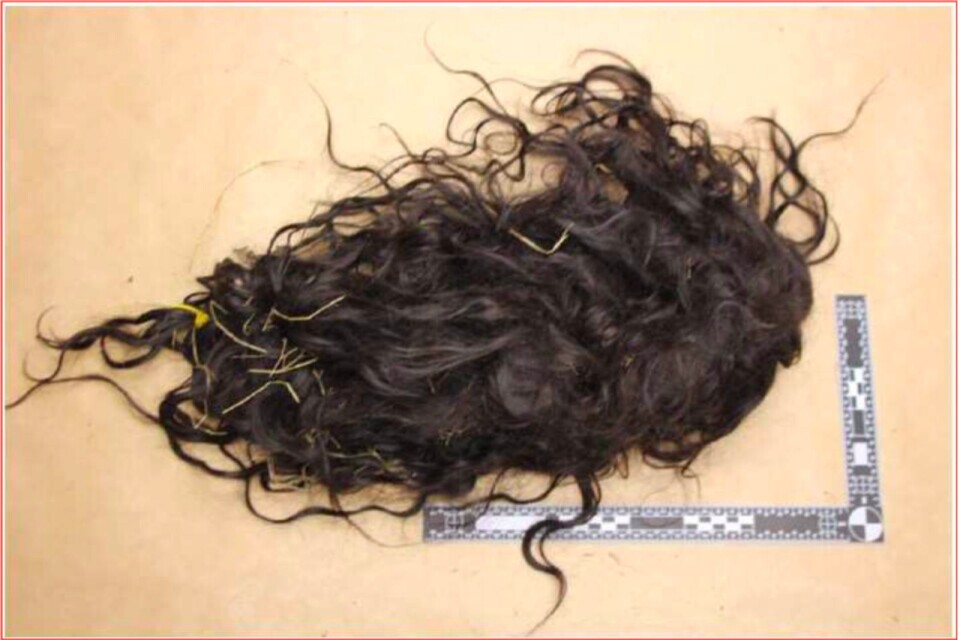 كانت إميليا ترتدي باروكة الشعر هذه عندما اختفت. تم العثور عليها في منزل الشاب. ولا ترى محكمة الاستئناف أنه اشتراها منها.