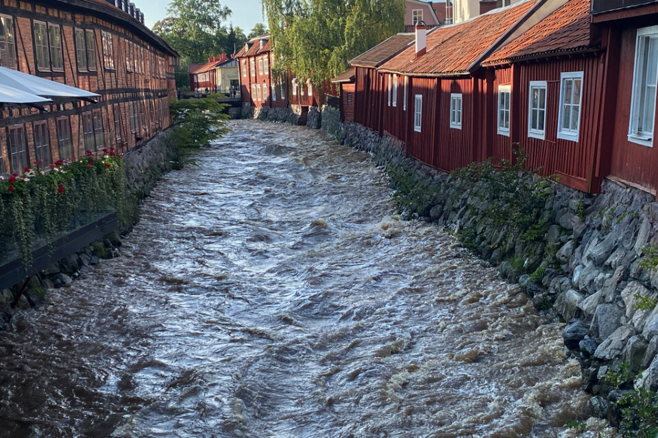 Efter det kraftiga regnandet var vattenståndet och flödena i Svartån i centrala Västerås extremt höga.