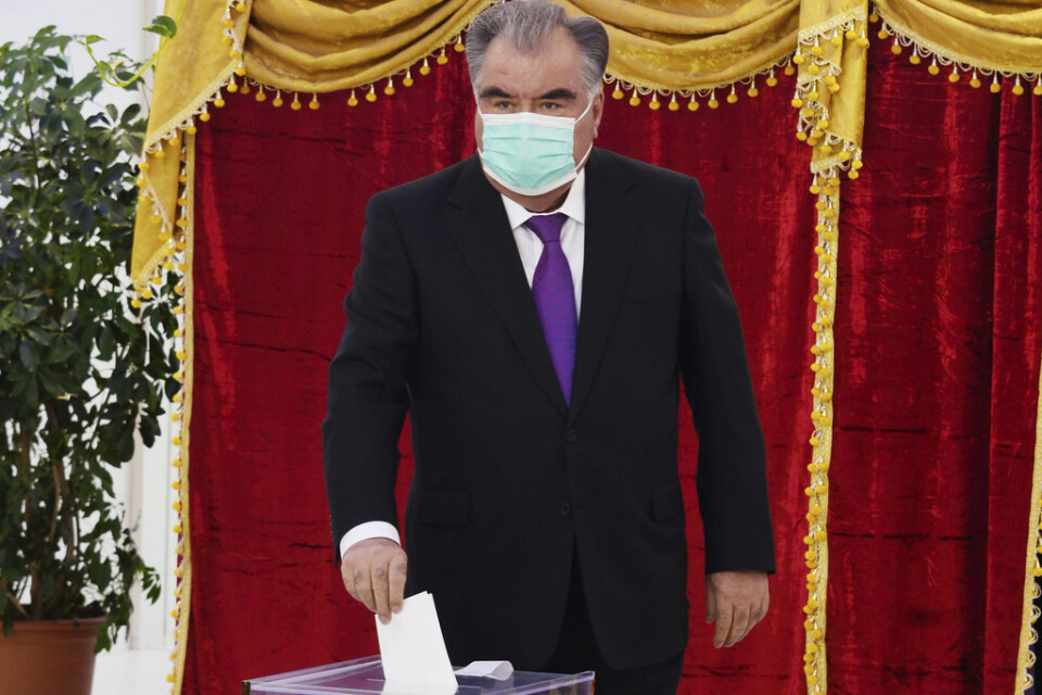 Tadzjikistans president Emomalii Rahmon lägger sin röst i valet.