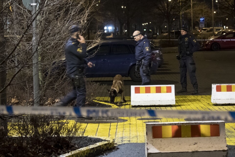 Polis med hund undersöker brottsplatsen i centrala Trelleborg natten till torsdagen.  En pojke har förts till sjukhus med allvarliga skador. 
Foto: Johan Nilsson/TT