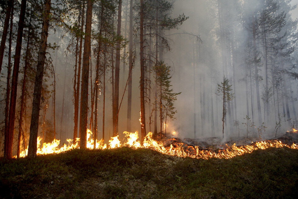 Beredskapen inför sommaren är mycket högre än den var när förra årets skogsbränder härjade i Sverige. Arkivbild från branden i Ljusdal.
