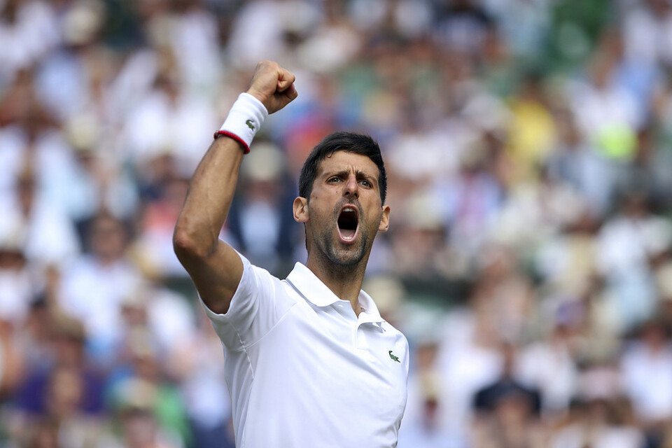 Novak Djokovic är klar för sin andra raka Wimbledon-final.