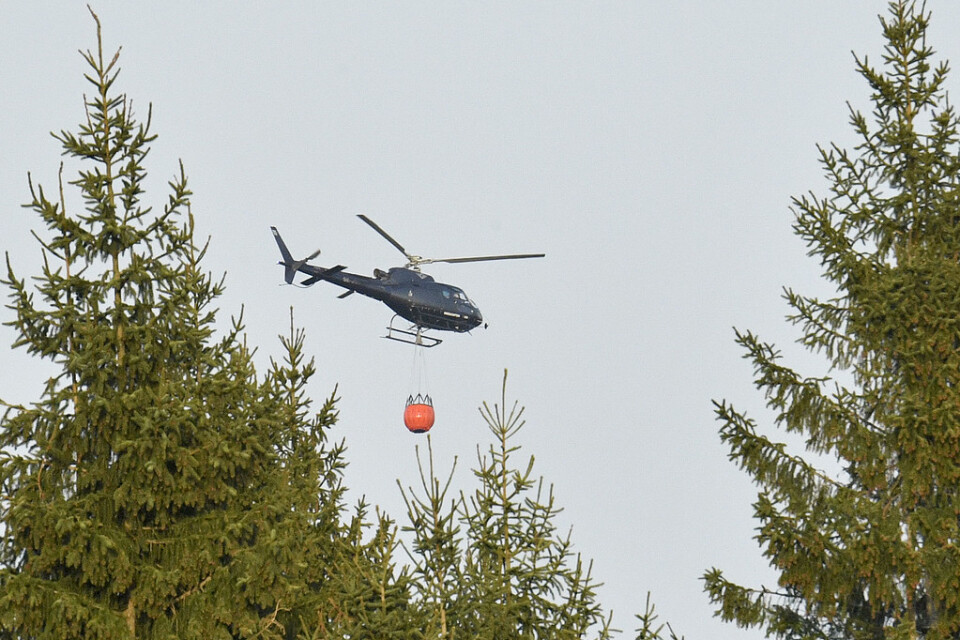 En helikopter vattenbombar en skogsbrand i skånska Hästveda.