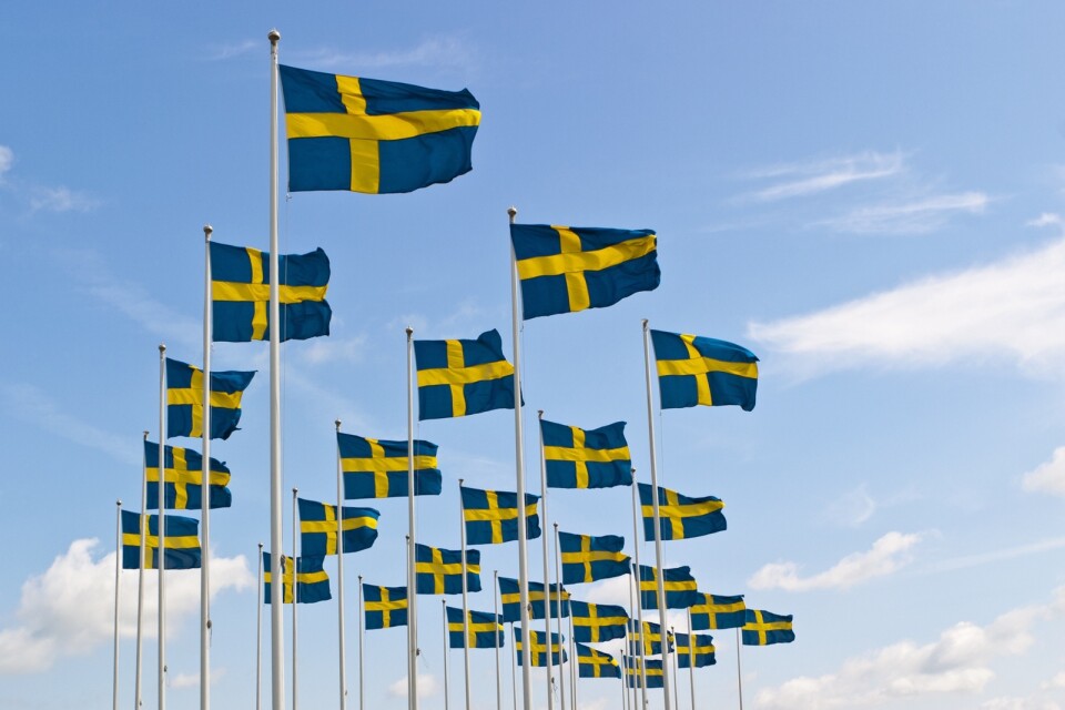 Genrebild svenska flaggor.
