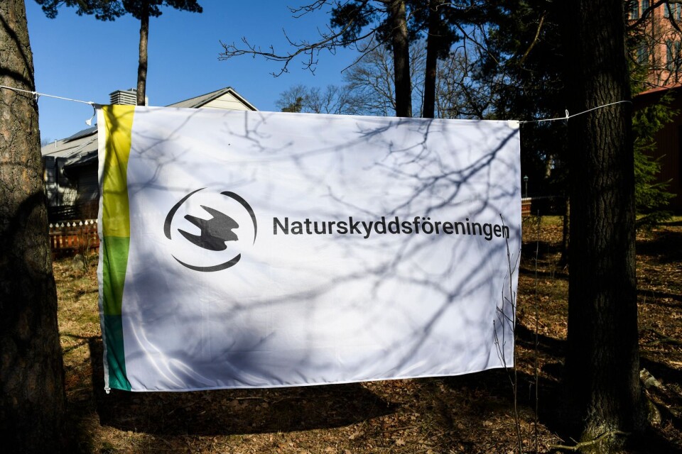 Bakom Naturskyddsföreningens fasad finns Miljöpartiet.