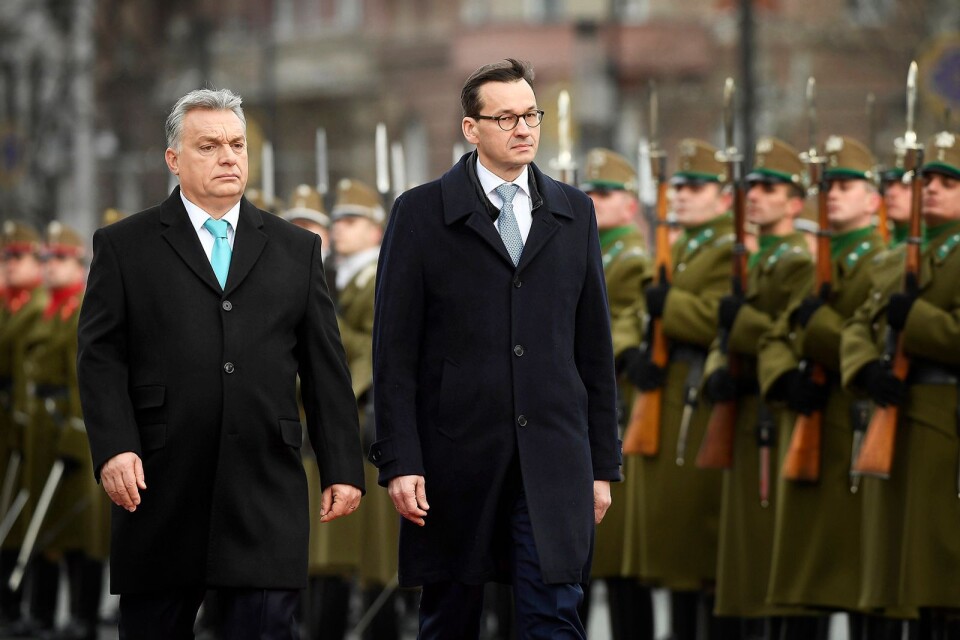 Ungerns premiärminister Viktor Orban tar emot sin polska kollega Mateusz Morawiecki under ett besök i Budapest 2018.