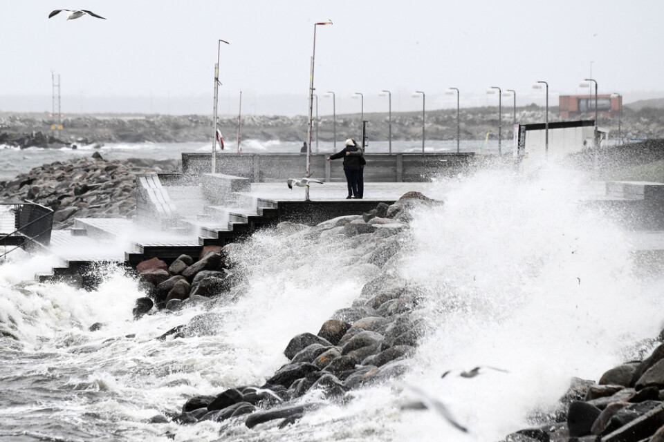 SMHI har utfärdat en klass 1-varning för mycket hårda vindbyar i södra Sverige. Arkivbild.