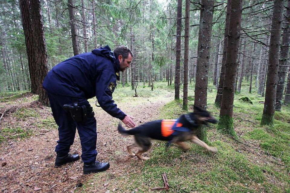 Polisens hundförare sökte igenom skogen utanför Hajomskolan.