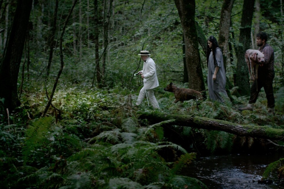 Filmen utspelar sig till stor del i den mörka skogen. Pressbild