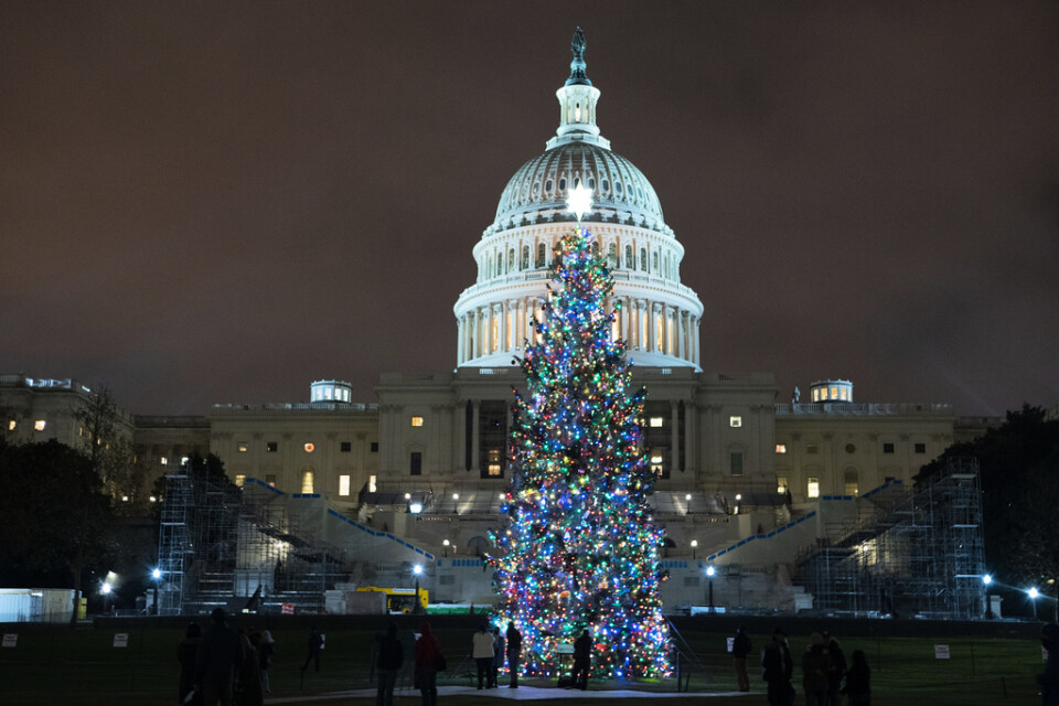 Juldekorationerna är kvar i Washington DC, framför kongressbyggnaden Capitolium.