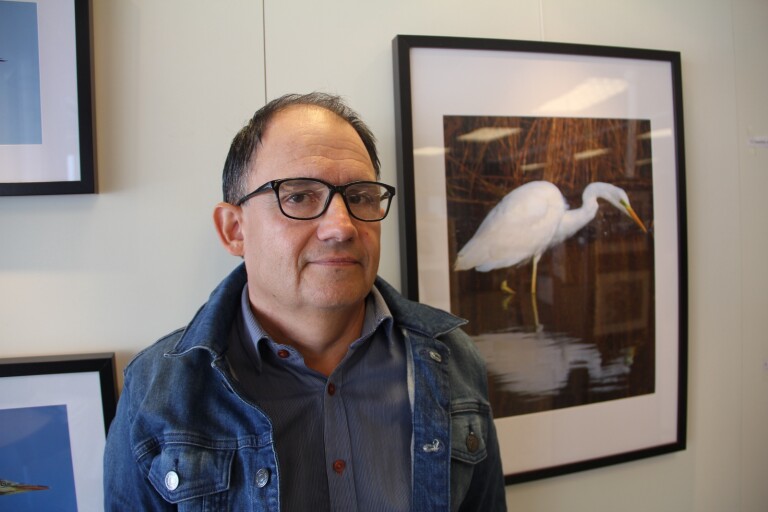 Jörgen Olssons fåglar tar plats på konstväggen