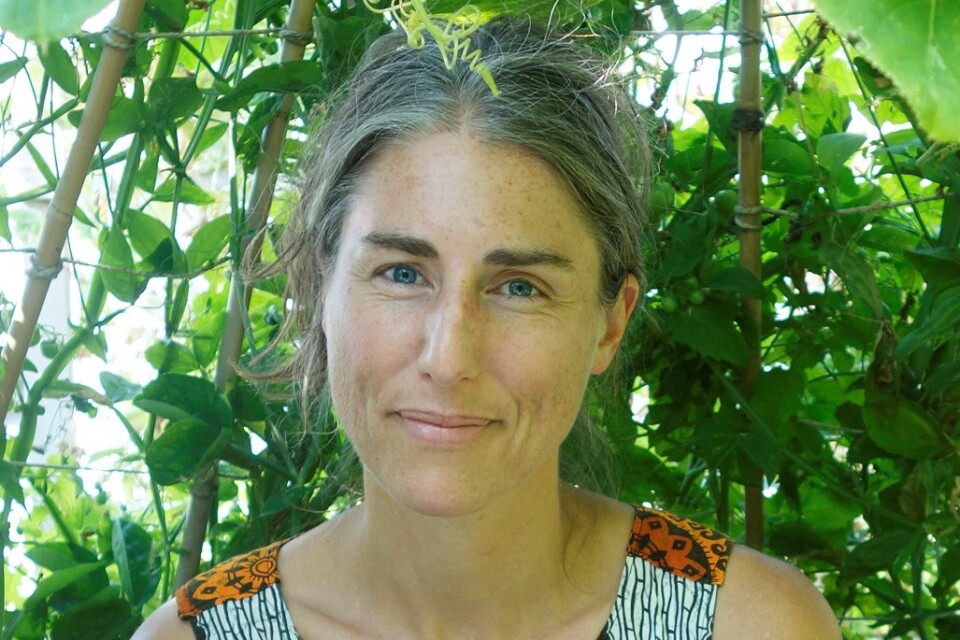 Anna Sofie Persson, forskare vid Centrum för miljö- och klimatforskning, vid Lunds universitet.