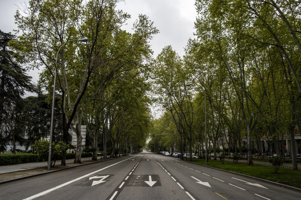 En tom gata i Madrid under coronakrisen.