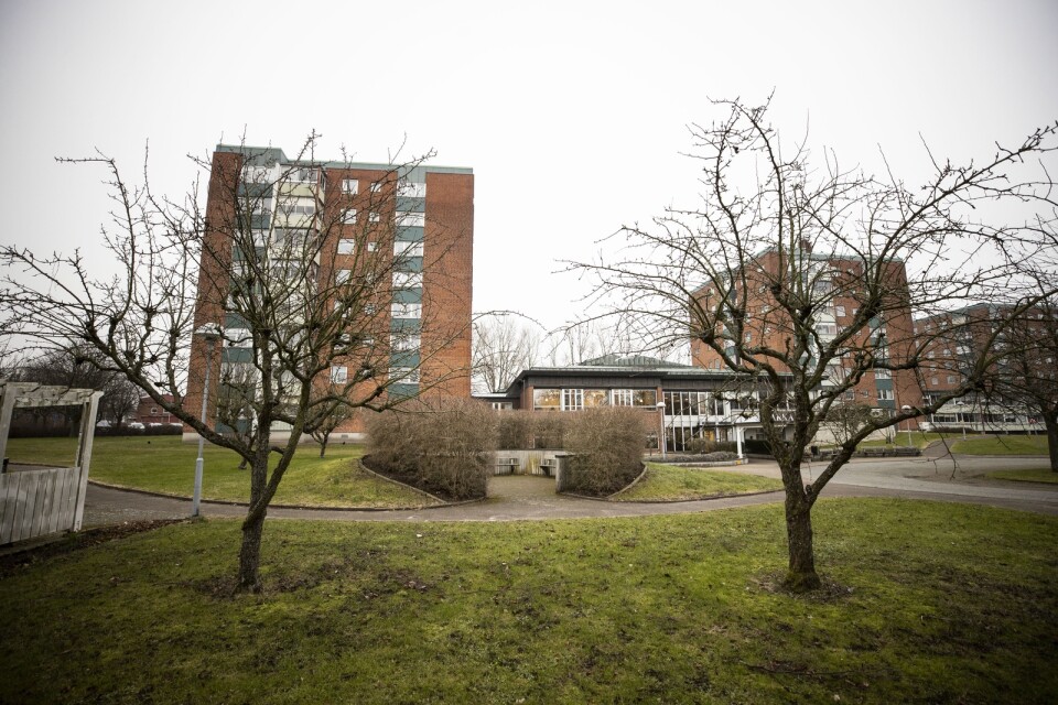 Den första regeln i 30-30-300 är att alla ska kunna se minst tre träd från sitt hem, sin skola och sin arbetsplats, skriver styrelsen för Miljöpartiet i Trelleborg.
