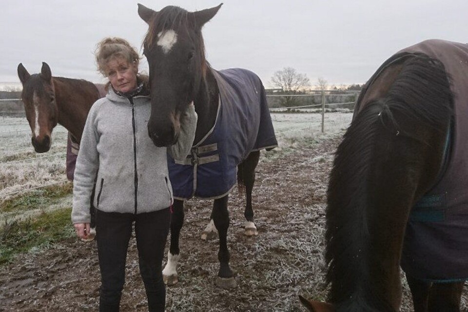 – Jag känner sådan lättnad, faran är i stort sett över, säger Reeni Källström som fick en häst sjuk med det fruktade EHV-1 viruset, så kallat abortvirus, i sitt stall i Hjärsås. FOTO: PRIVAT