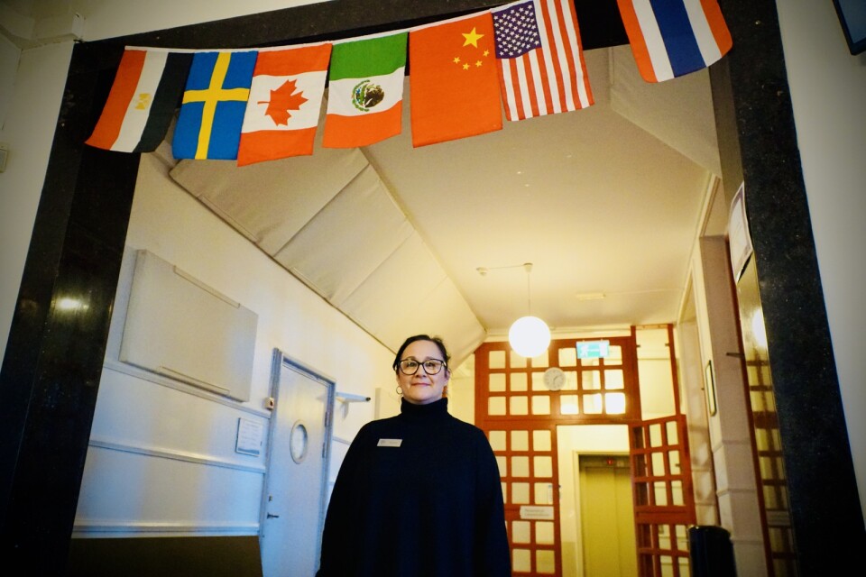 Maritza Molin kommer ursprungligen från Arizona. Hon har varit rektor på Internationella engelska skolan i Borås sedan 2017. På skolan går drygt 500 elever.