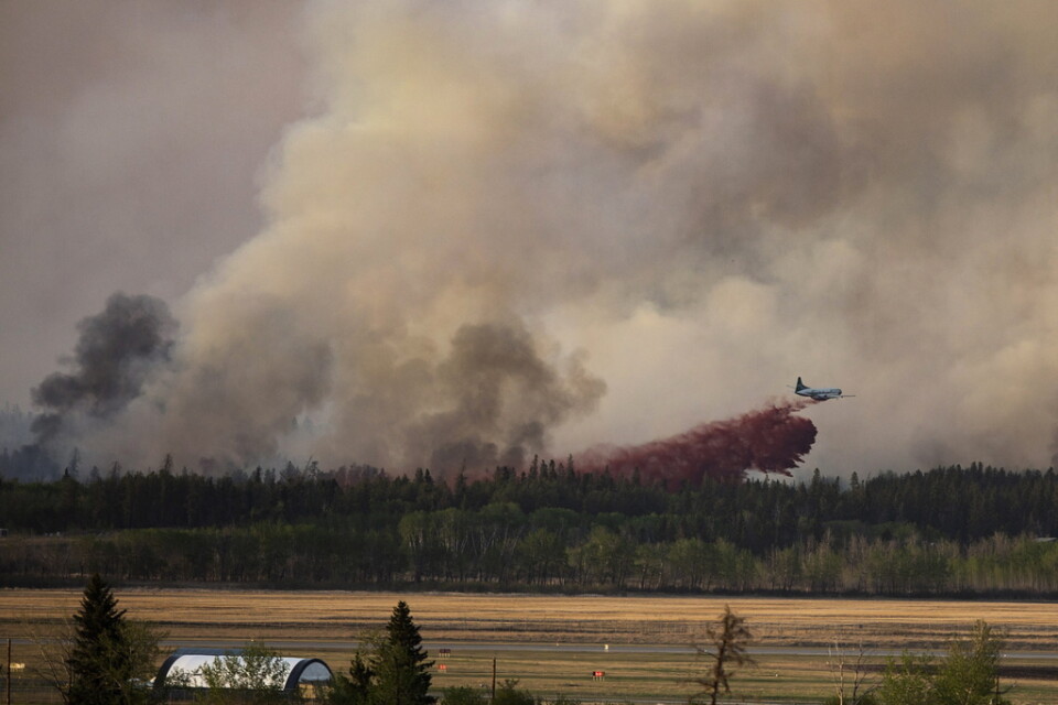 Forskare har identifierat skogsområden i världen som är extra utsatta för klimatförändringar som kan leda till skogsbränder. Bland annat pekas Kanada ut, som bland annat drabbades av skogsbränder i fjol (bilden). Arkivbild