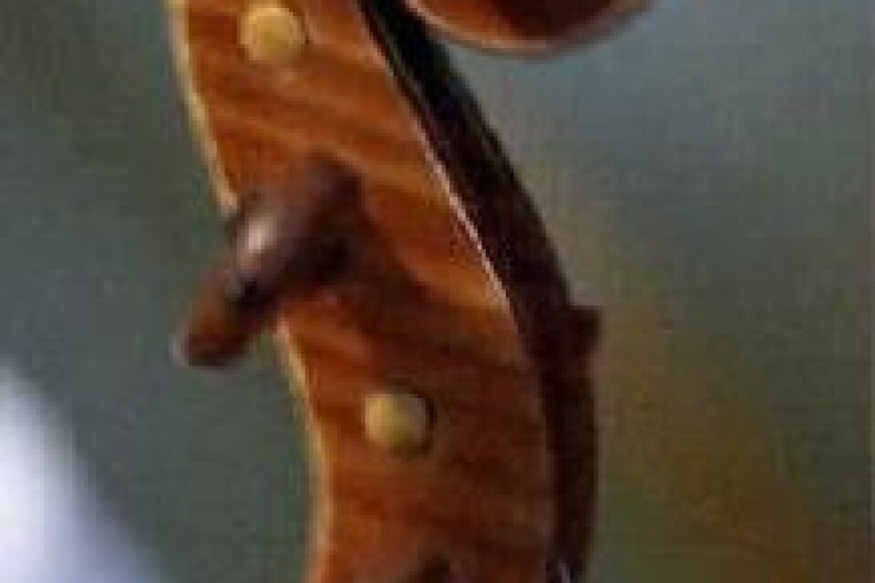 Snäckan är fiolbyggarens adelsmärke. Thures påminner om en smäckrare variant av Stradivarius.