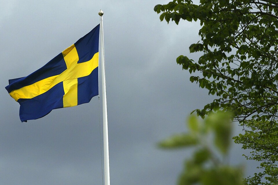 ”Sverigedemokraterna vill skapa rädsla och utmåla alla som kommit hit som en fara för landets framtid”.