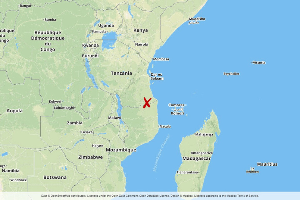 Sex personer har skjutits ihjäl och sju andra skadats i en attack mot en by i södra Tanzania.