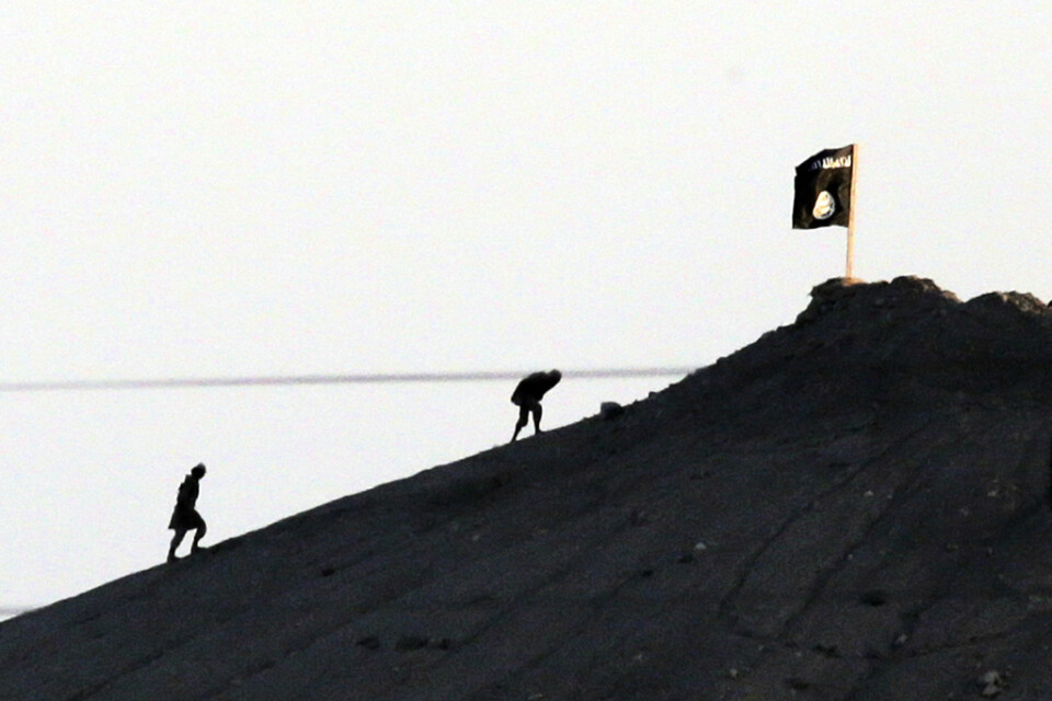 IS-medlemmar sätter sin flagga på ett backkrön utanför staden Kobane i Syrien 2014. Arkivbild.