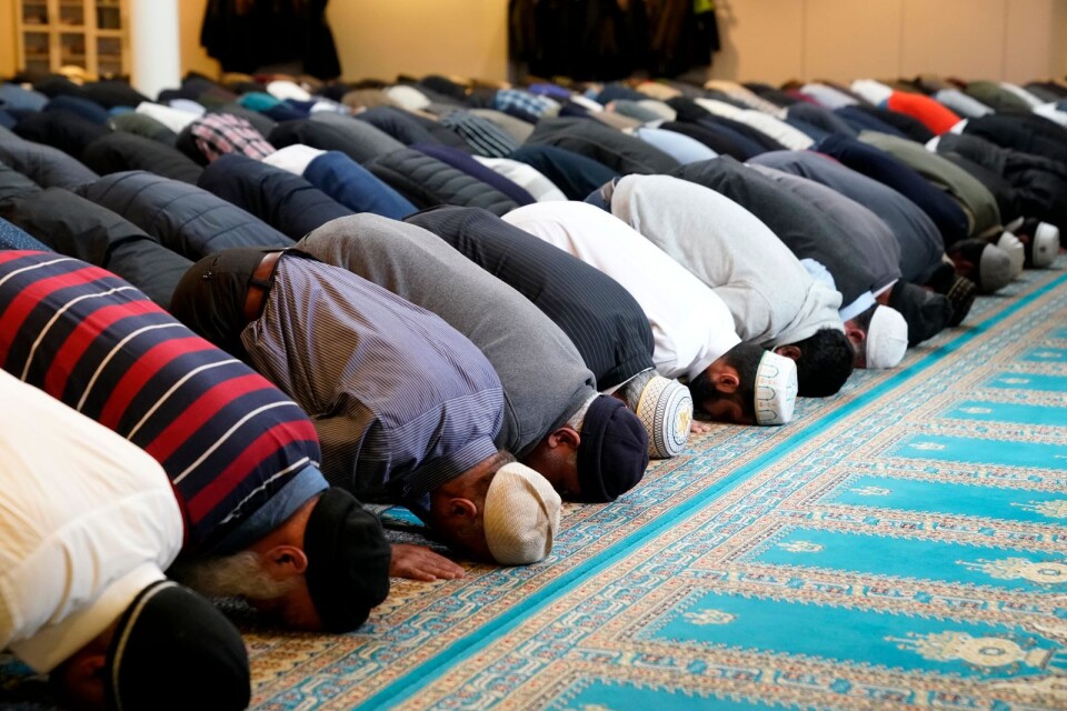 Muslimska män under fredagsbönen.