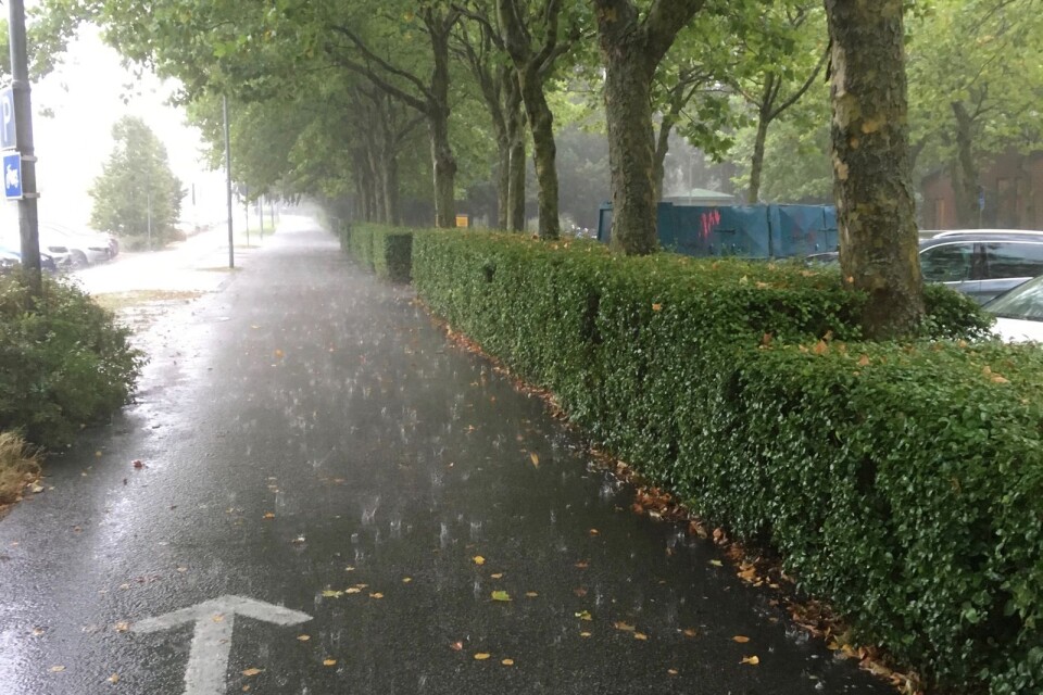 Det regnade rejält under morgonen i Trelleborg. Vid Övre vräkte det ner.