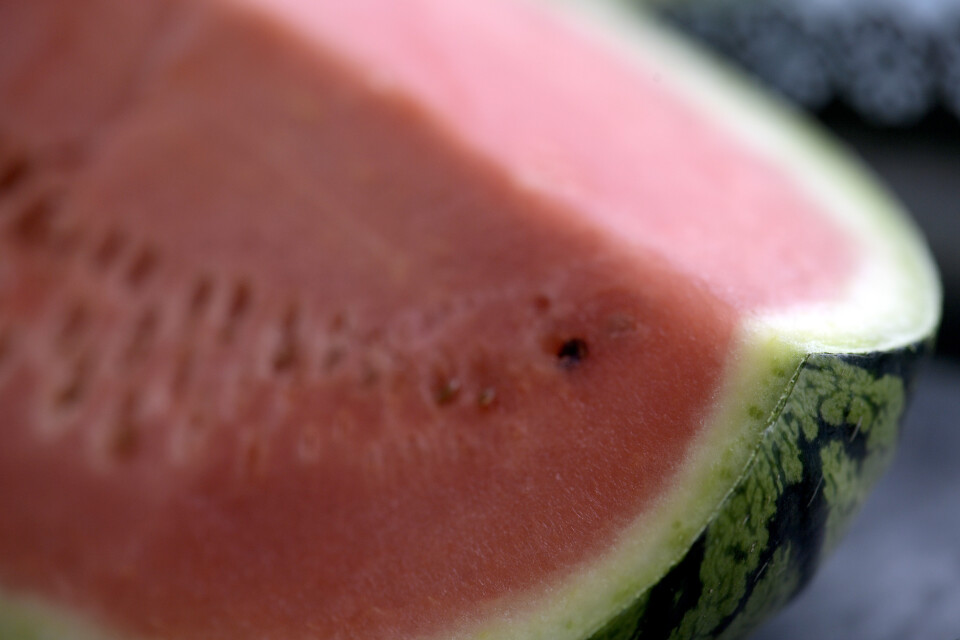 Vattenmelonen är god ihopmixad med bubbelvatten med mynta och lime.