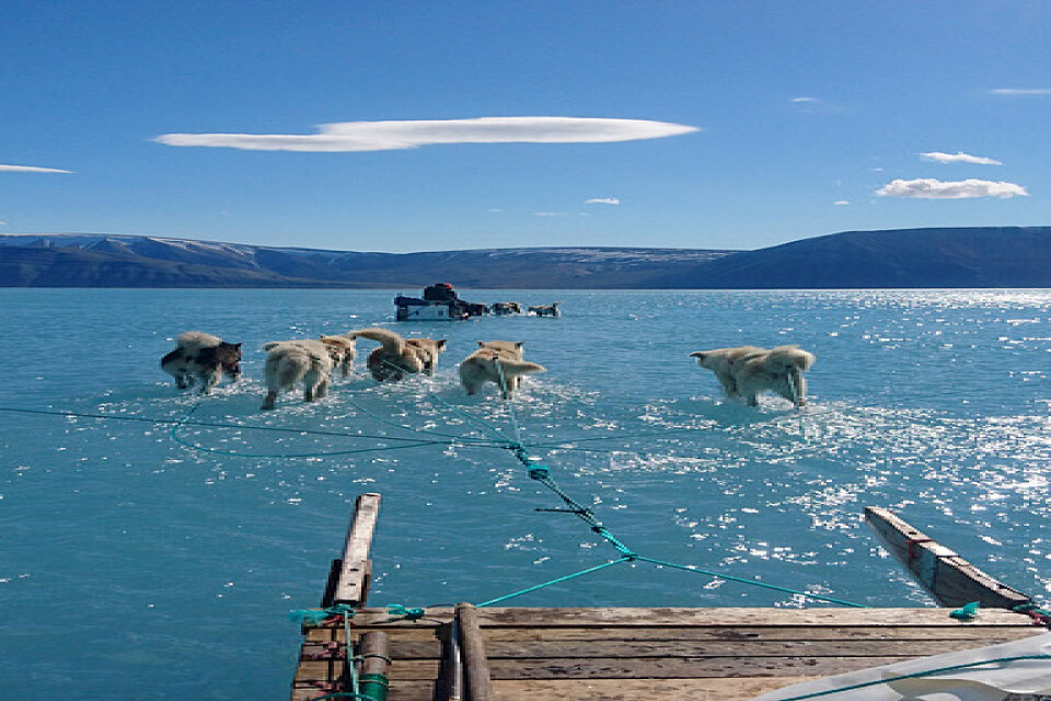 Det har varit varmt på Grönland i sommar – men inte rekordvarmt, enligt Danmarks meteorologiska institut. Arkivbild.