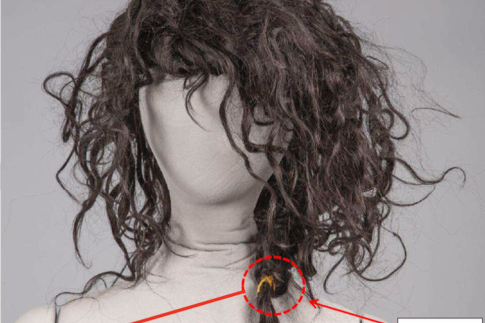 A wig that belonged to Emilia.