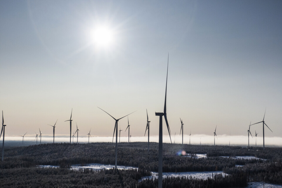Vindkraften har byggts ut i Sverige. Markbygden 1101 utanför Piteå är Europas största vindkraftspark på land. Arkivbild.