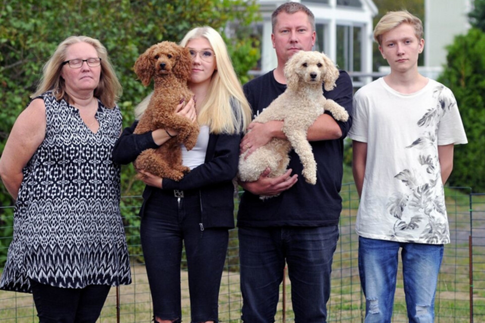 Familjen Pettersson berättade på tisdagen i Smålandsposten om avsaknaden av stöd.