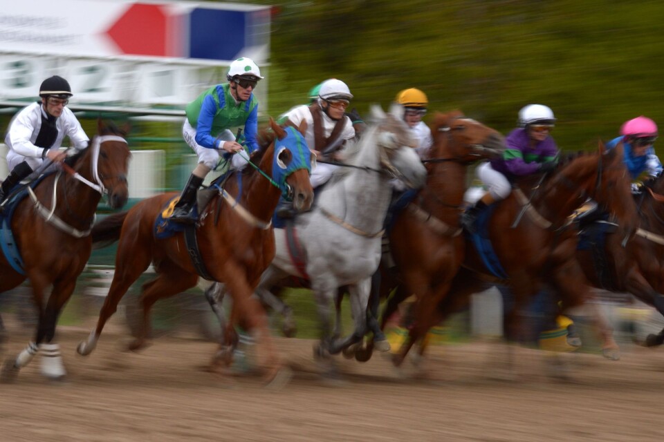 Jockeys och hästar i en tävling på Täby Galopp 2016.