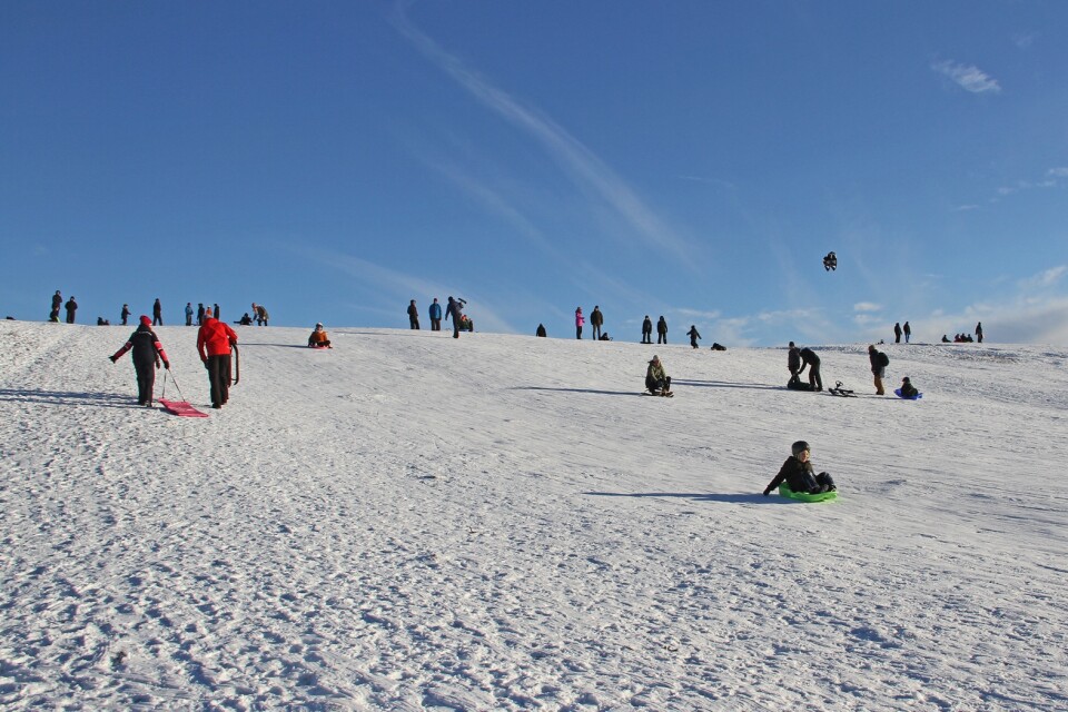 Nerför backen kan man komma på många sätt, pulka och snowracer är vanliga varianter.