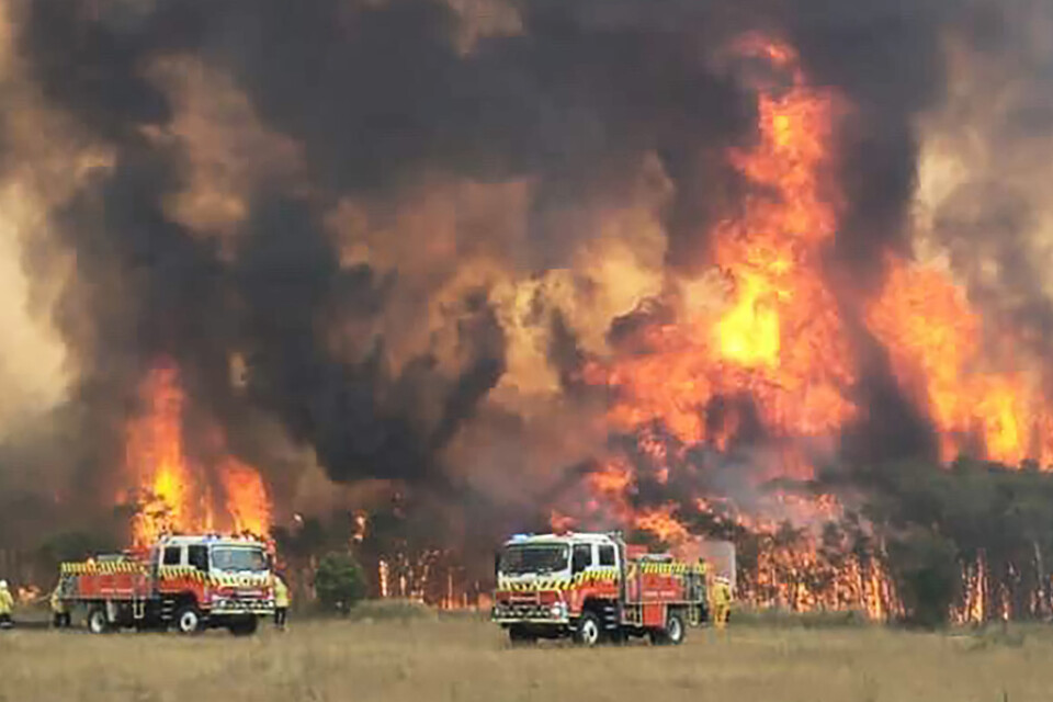 En av bränderna i delstaten New South Wales. Bild från den 30 december i fjol.