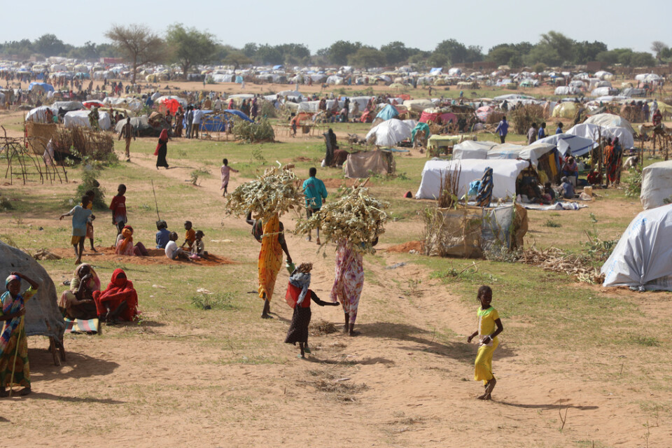 Flyktingar från de senaste månadernas konflikt i Sudan har samlats i ett flyktingläger i Tchad.