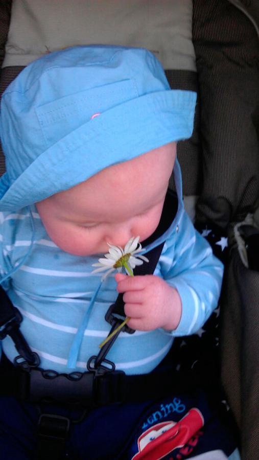 Anna Anderssons son Thor gillar att lukta på blommor.