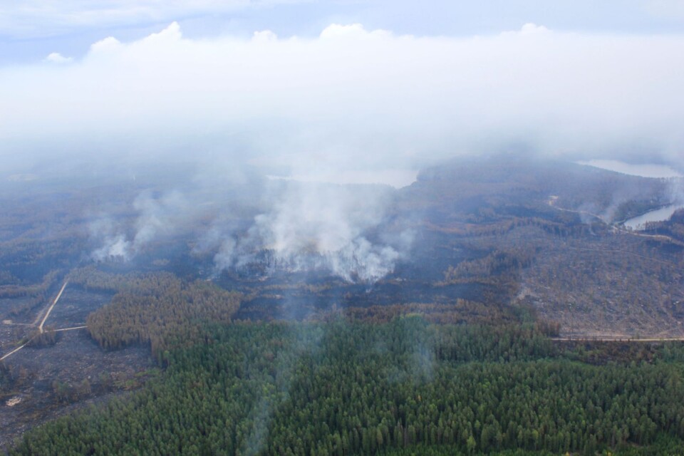 Arbetet står still på många platser i skogen just nu, efter de senaste veckornas torka. Skogsbranden i Västmanland 2014 blev en väckarklocka för skogsbranschen.