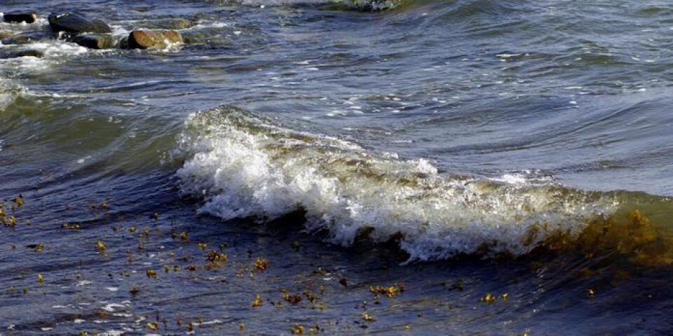 Med stigande havsvattennivå så kommer vågorna att bryta intensivare och närmare stranden, skriver Ivar Ek.